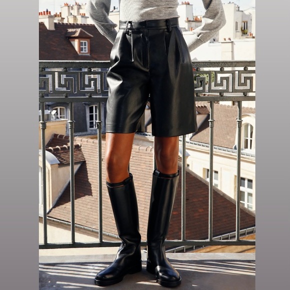 Aritzia | Shorts | Aritzia Babaton 